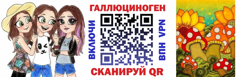 Галлюциногенные грибы Psilocybine cubensis Елизаветинская